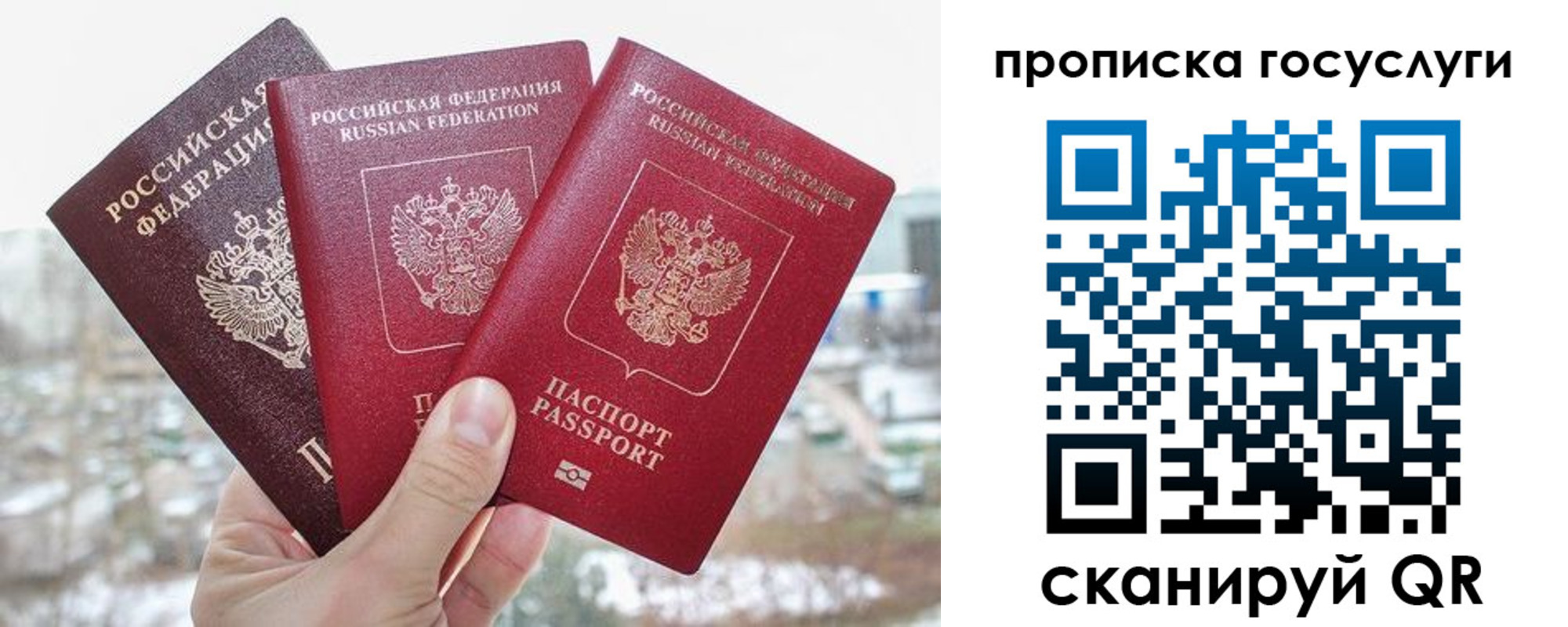 прописка законно в Новороссийске